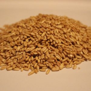 Oat Groats Organic