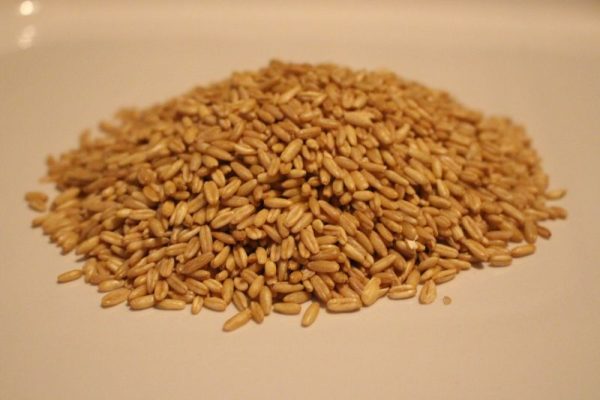 Oat Groats Organic