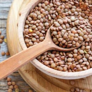 Organic Laird Lentils (Brown / Green)