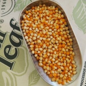 Organic Popping Corn