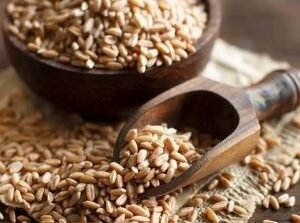 Organic Whole Spelt Grain