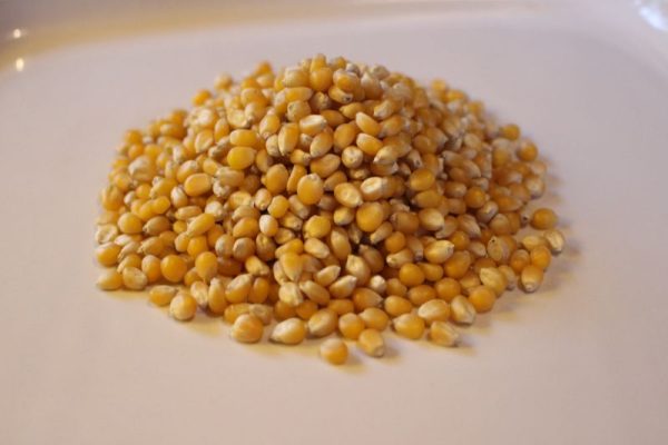 Popping Corn Organic