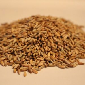 Organic Whole Rye Grain