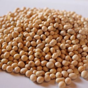 Soya Beans Organic