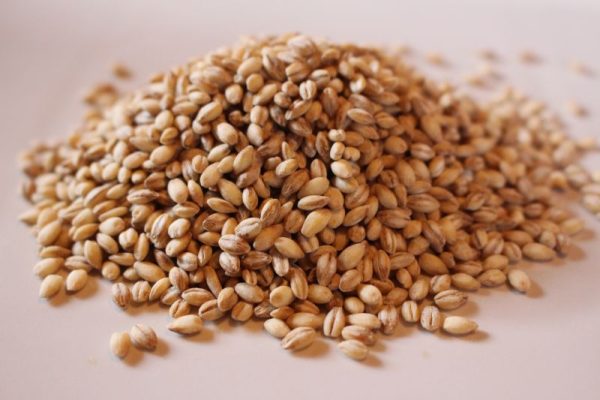 Barley Pearl Organic
