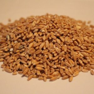 Spelt Whole Grain Organic
